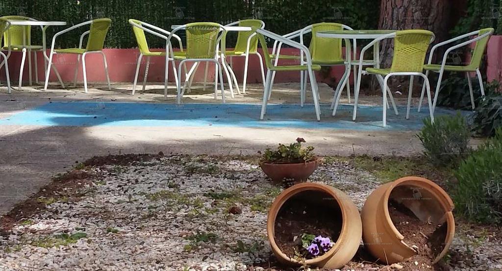 Hostal Aravaca Garden Madrid Exterior foto